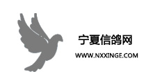 寧夏信鴿網(wǎng)